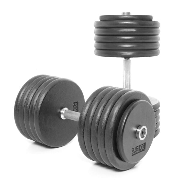 Body Power 55Kg Pro-style Dumbbells (x2)